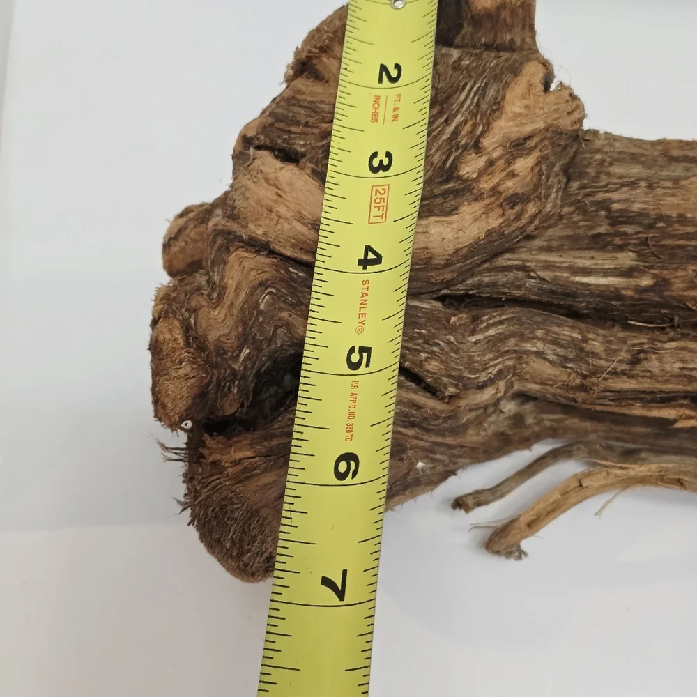 All Living Things Reptile Driftwood